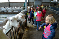 Boerderijbezoek KL3