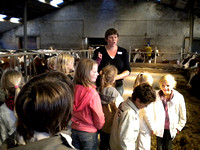 3 - Dag van de landbouw: We bezoeken de boerderij van Wout Van Riel